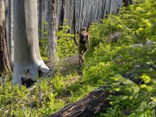 {{brizy_dc_image_alt imageSrc=